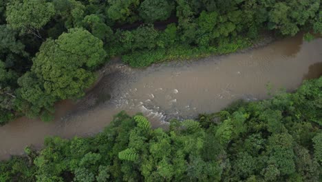 Orbit-top-view-river-in-tropical-amazonic-green-jungle