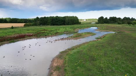 Aerial-video-footage-captures-the-saltwater-marshlands-along-the-Lincolnshire-coast,-featuring-seabirds-in-flight-and-on-the-lagoons-and-inland-lakes