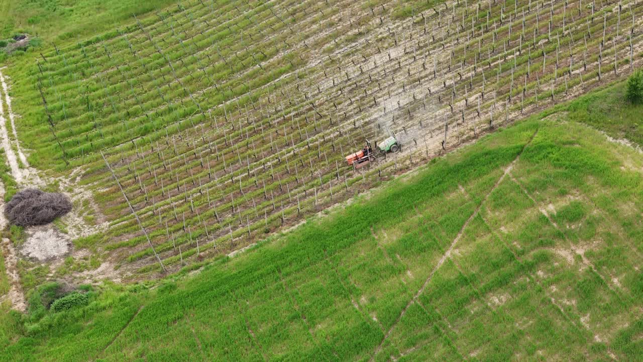 Tractor descends a hillside vineyard, spraying protective treatments along neat rows of vines in springtime, ensuring healthy growth and preparing for the upcoming wine season, drone orbiting shot