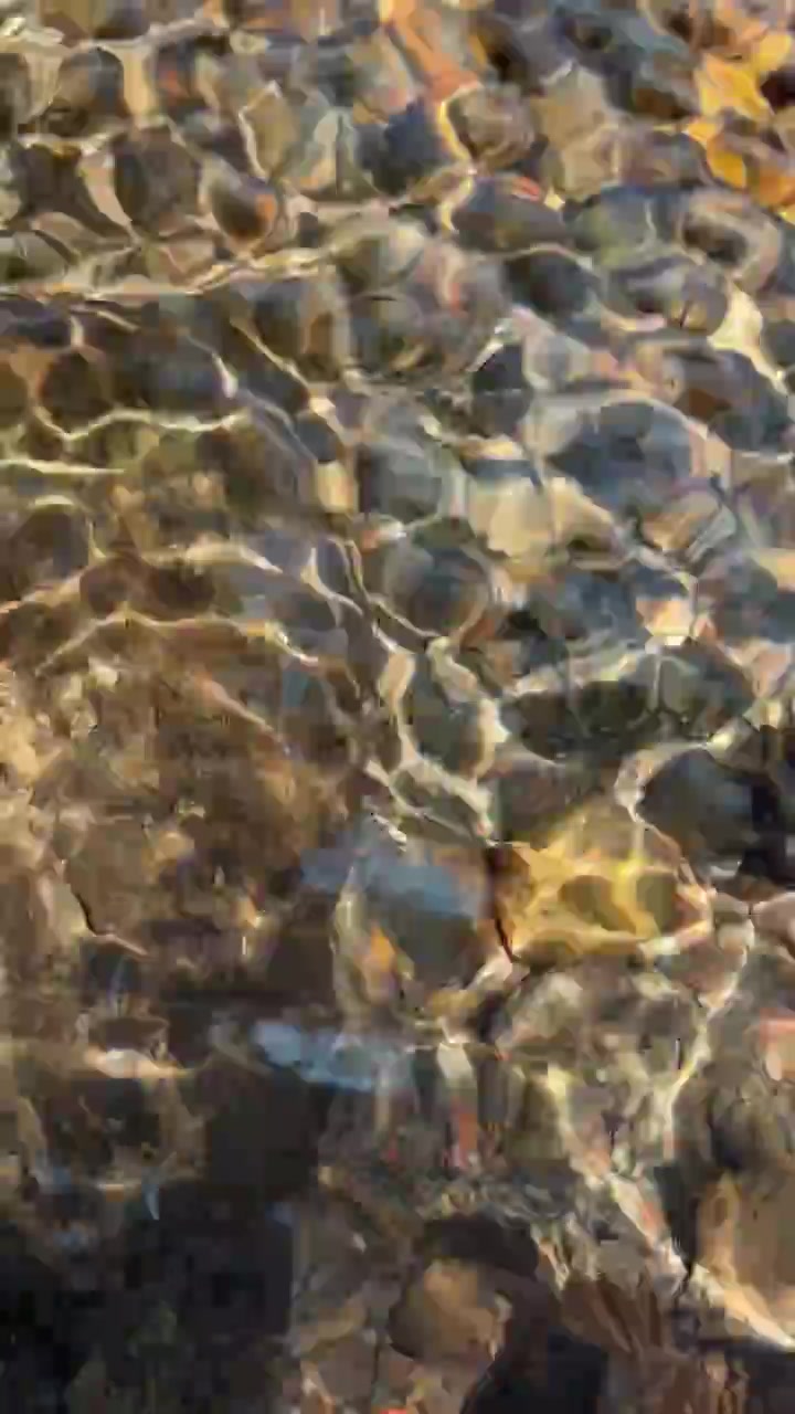 Clear Water Flowing Over Colorful River Stones