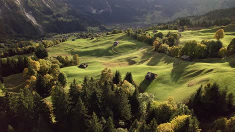 Imágenes-Aéreas-De-Drones-Empujando-Sobre-Prados-Alpinos-En-Otoño,-Grindelwald,-Suiza