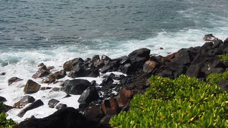 hd slow motion hawaii kauai static of ocean waves crashing from left to right on rocks along shoreline with shrubs in lower right foreground, two