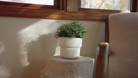 pequeña planta verde en una mesa auxiliar junto a una silla en la terraza acristalada de una casa