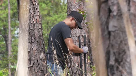 ecólogo hombre trabajando plantando un árbol en el bosque con una herramienta