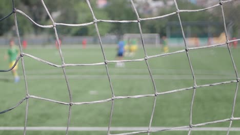 soccer game through a net