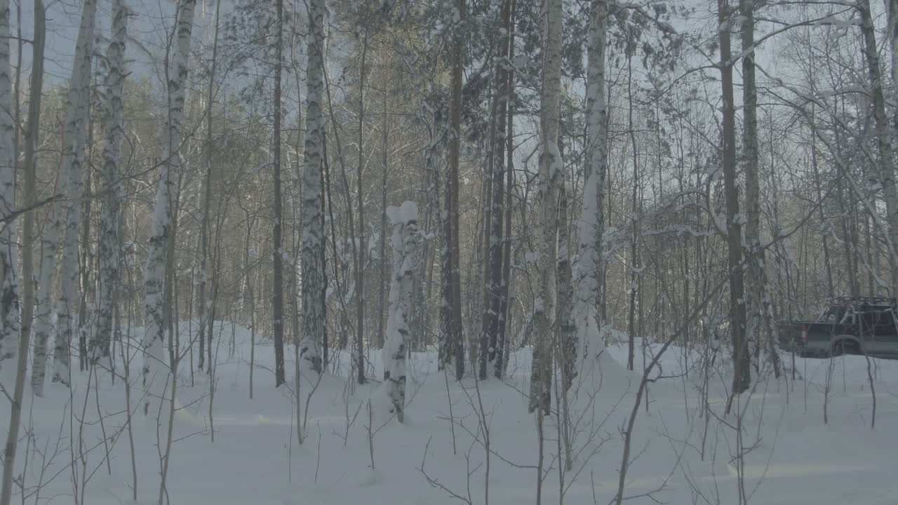 снежный лес с грузовиком