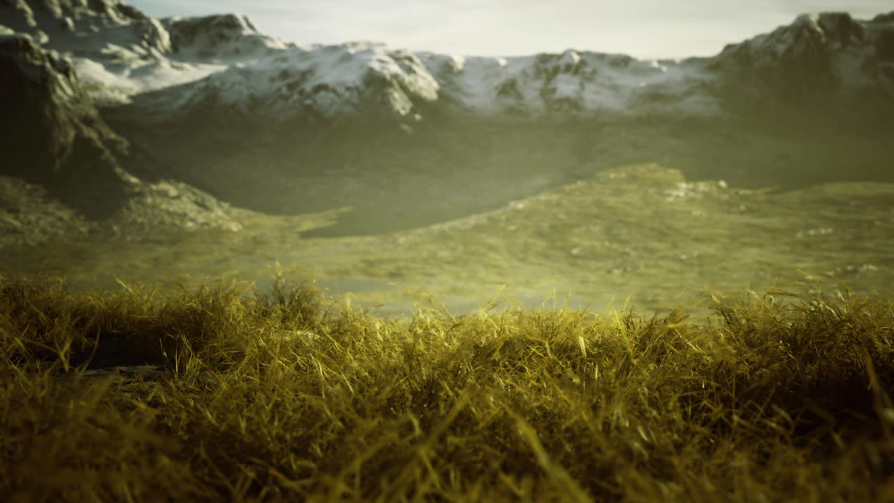 Mountain landscape with snow capped peaks and golden grass at sunset