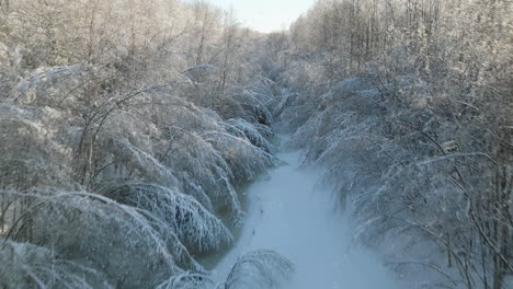 Volando-Rápido-En-Un-Clima-Nevado-Pasando-Por-Ramas-De-árboles-Colgantes-Y-Un-Arroyo-De-Invierno-Congelado-En-El-Bosque