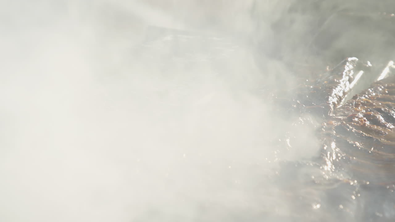 소니 fs7에서 슬로우 모션으로 촬영한 바비큐 립