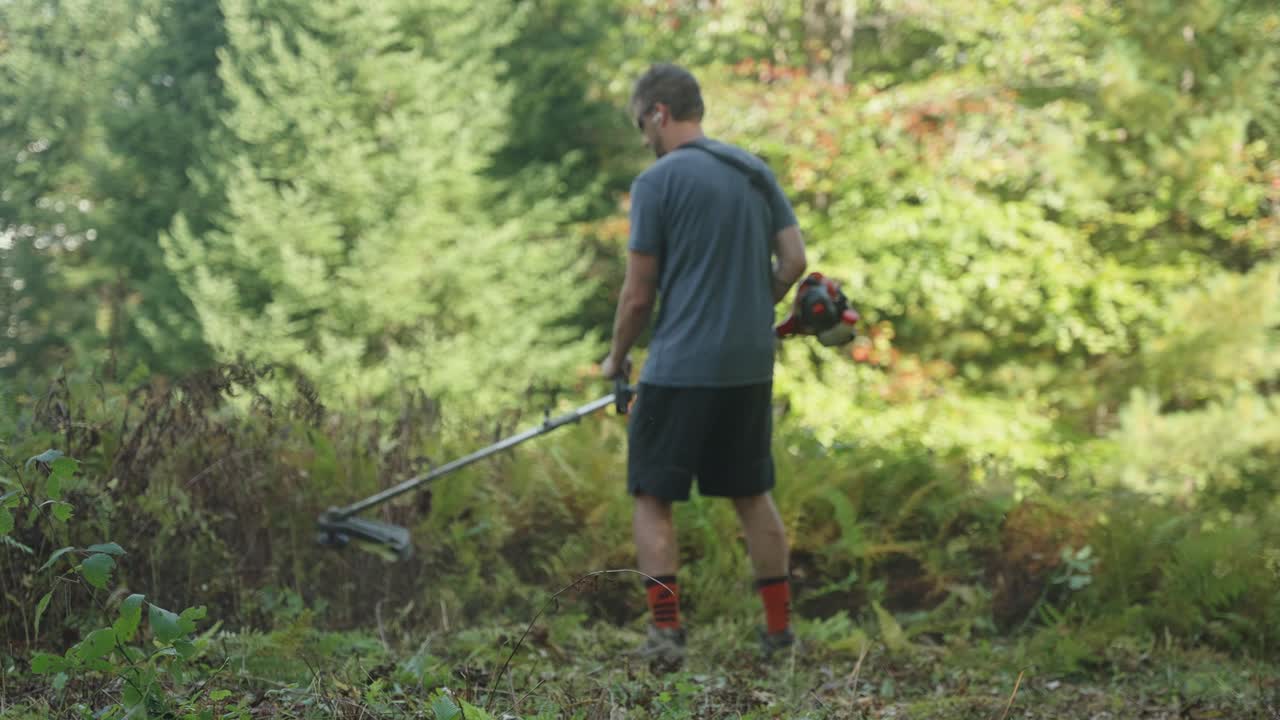 Labor worker cutting overgrowth plants in forest scene (4k 30p)