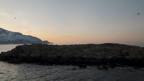 Colonia-De-Gaviotas-Que-Anidan-En-Una-Isla-Rocosa-En-El-Majestuoso-Fiordo-De-Noruega,-Antena