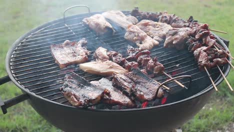 basting chicken skewers with marinade while grilling on a charcoal bbq