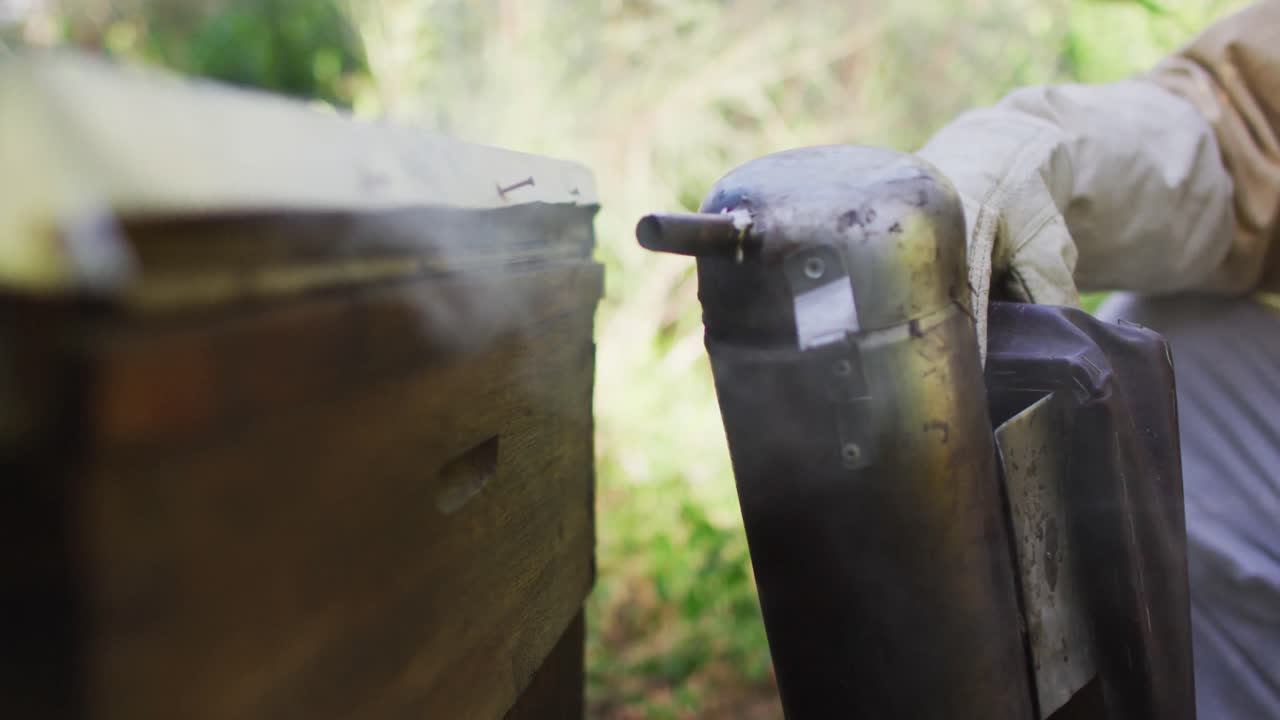 ⁇ 벌집 에서  ⁇ 벌 을 진정 시키기 위해 담배 를 피우는 사람 을 사용하는 보호 의복 을 입은 백인 남성 양봉자