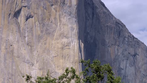 detailed close-up of the sheer granite rock face of el capitan in yosemite national park. the shot captures the unique textures, lines, and formations of the famous cliff wall