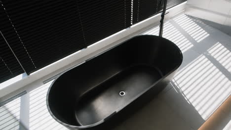 modern black oval bathtub in a stylish bathroom