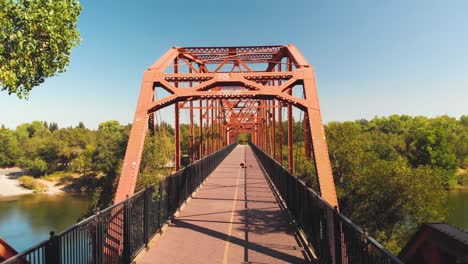 Aerial-drone-view-flying-backwards-through-the-Fair-Oaks-Bridge-as-he-kneels-down-to-check-on-his-dog-while-being-surrounded-by-green-trees-in-California