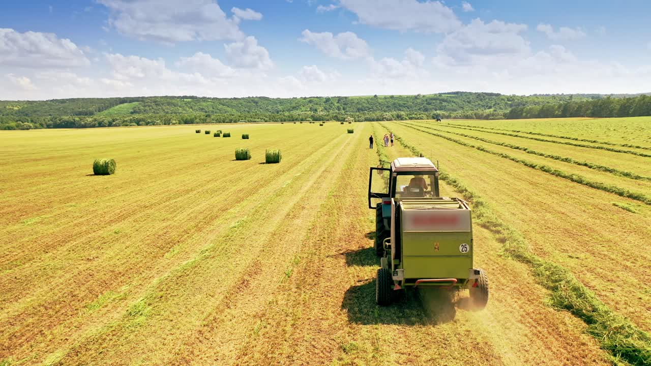 Agricultural machinery pressing grass in the field in summer. Tractor collects the green grass and press it in bales on the background of wide field with many round bundles outdoors.