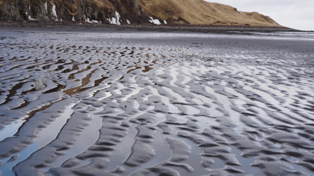 Black sand beach ripples reveal shoreline cliff with Northern fulmar flying