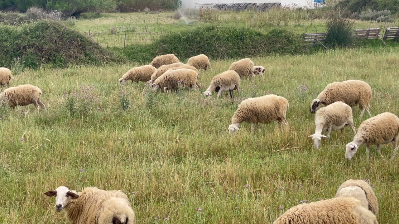 크레타 섬, 그리스