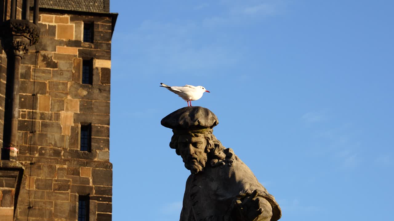 estatua al aire libre de ivo de kermartin en el puente carlos con gaviota en la parte superior
