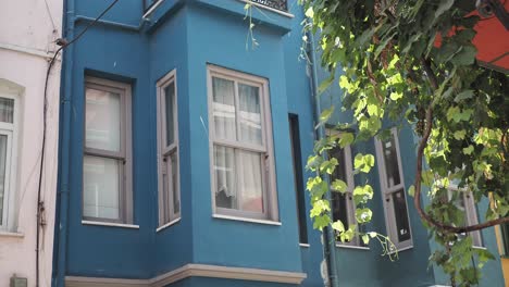 blue building with green vines