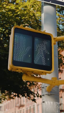 pedestrian crosswalk signals in an urban environment