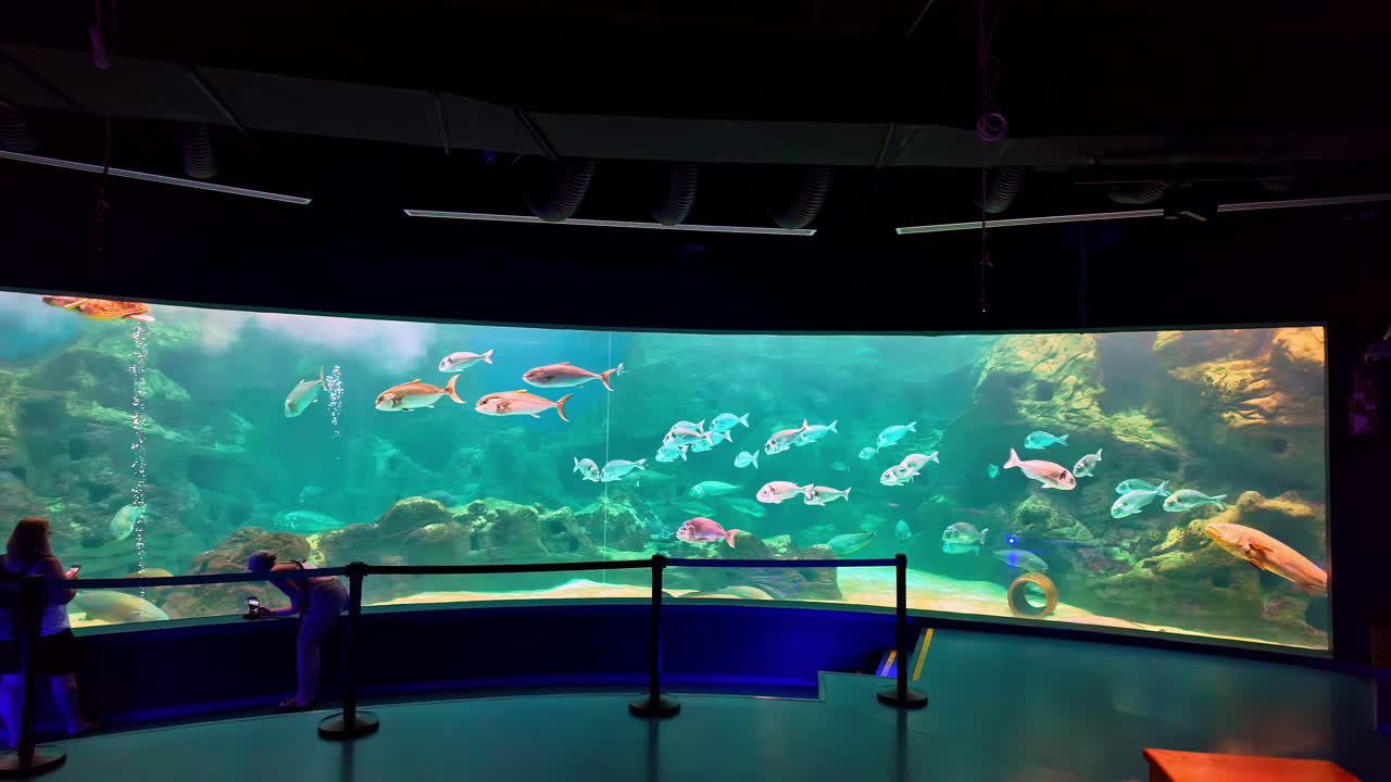 Visitors Watching The Fish Swimming At The Open Sea Section of CRETAquarium Thalassokosmos In Crete, Greece. - wide pan shot