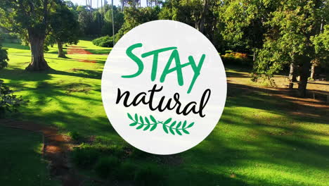 animation of stay natural text over park