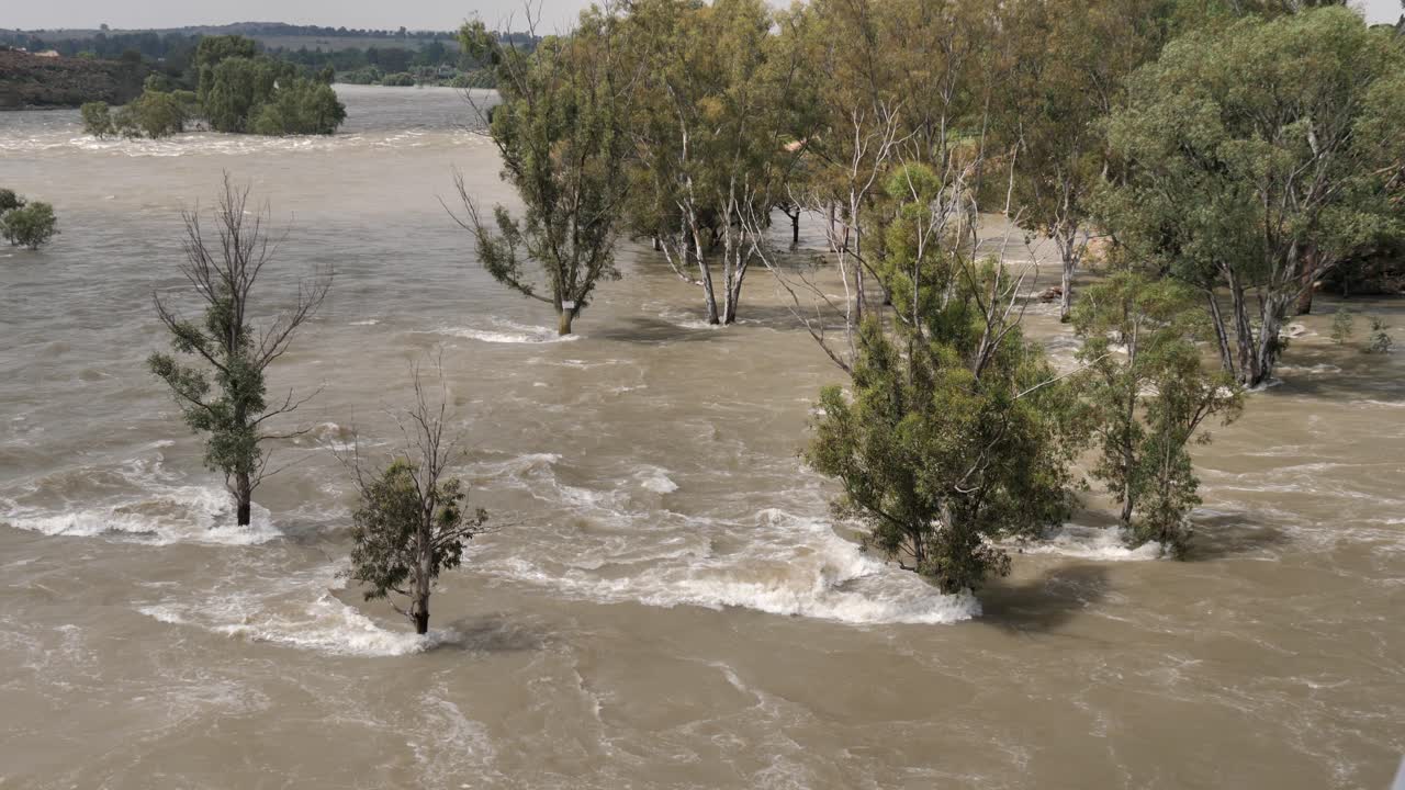 Flooding South African Vaal River overruns banks into shoreline trees