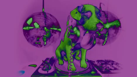 perro dj 4k 34