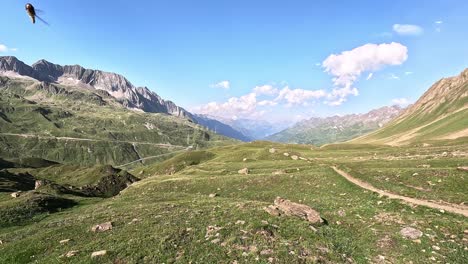 Hermosos-Prados-Montañosos-Montañosos-Cerca-Del-Paso-De-Montaña-Gotthard-Paso-De-Gries-Y-En-Los-Alpes-Suiza