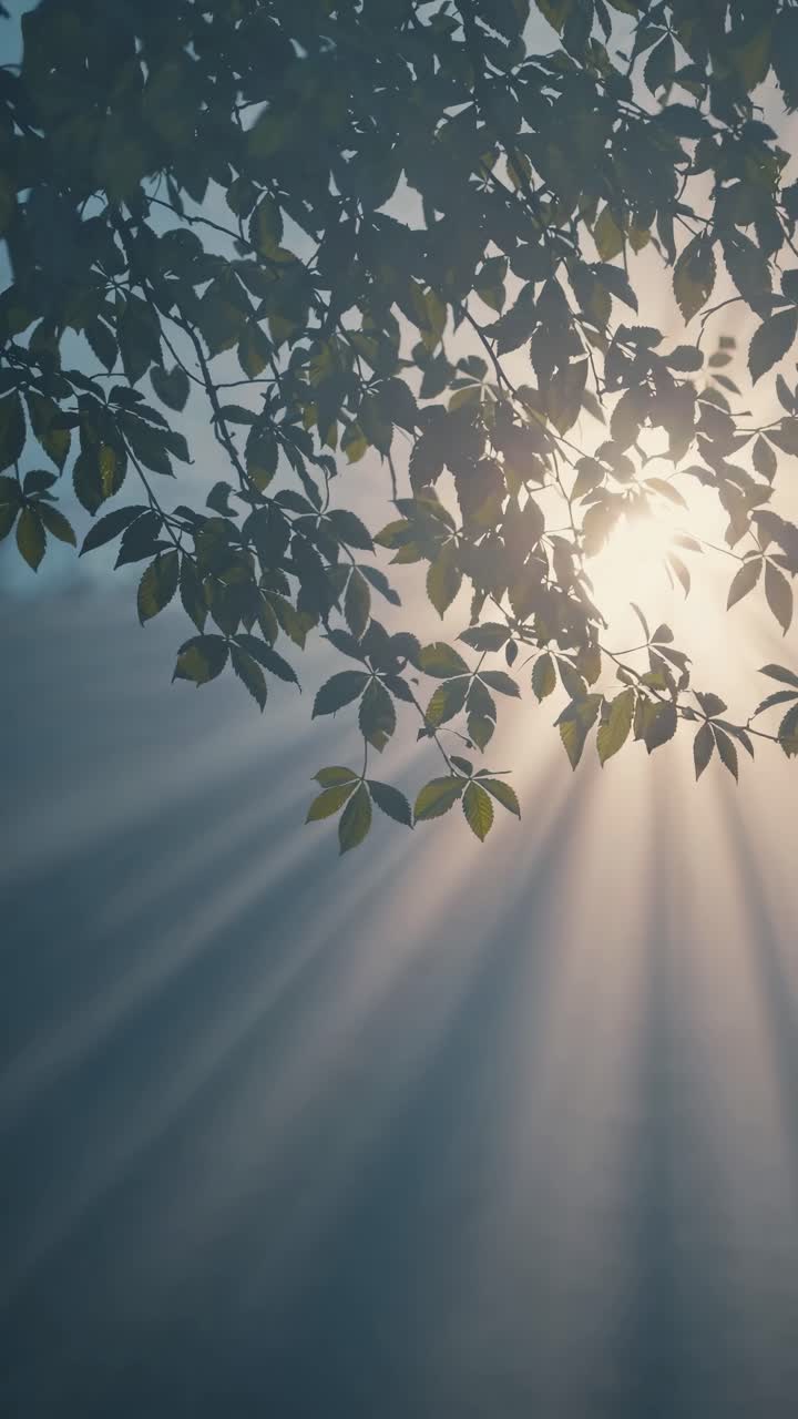 Sunlight filters through leaves, casting rays in a serene, atmospheric scene