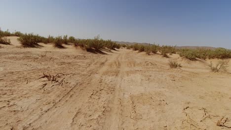 point of view driving fast between bushes in the desert