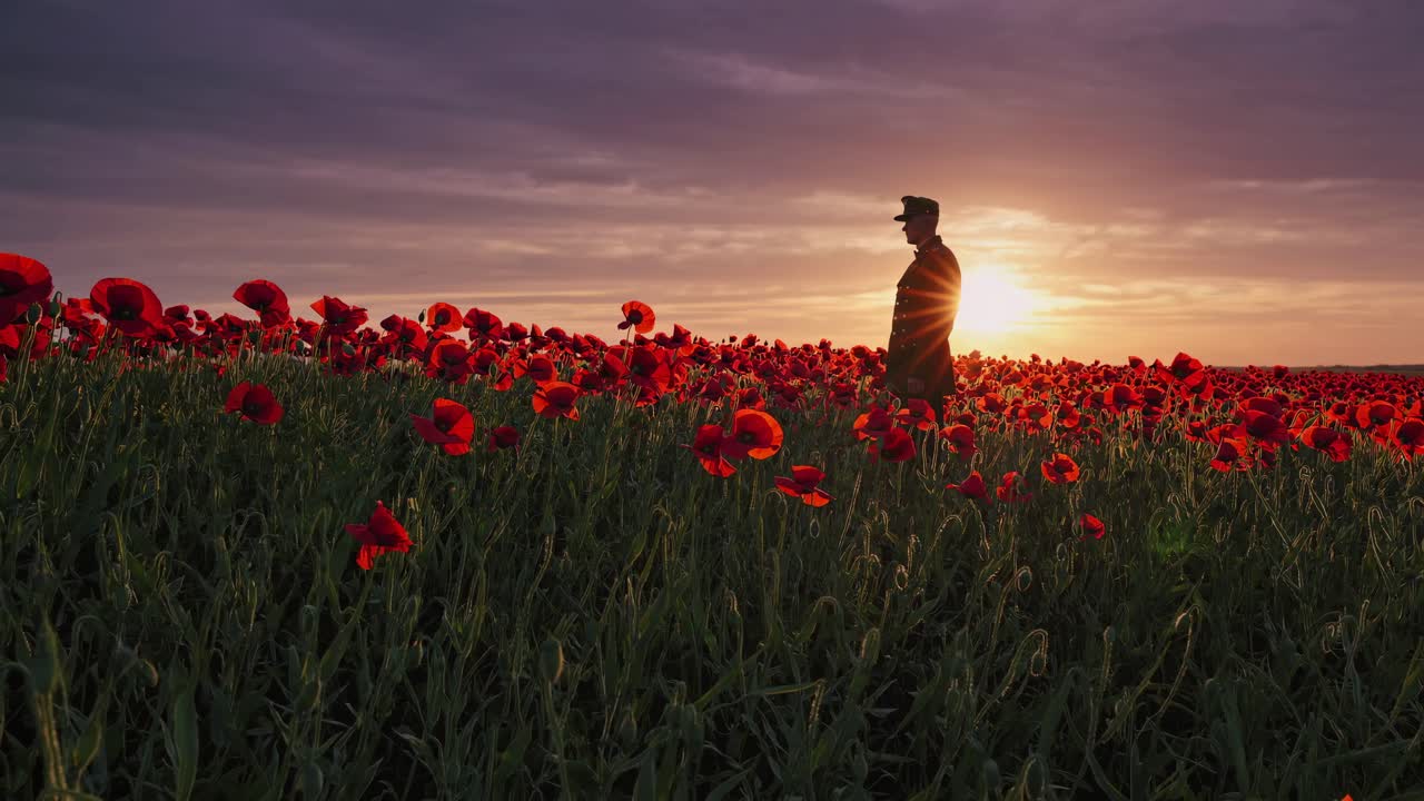 Silhouette di un soldato in un campo di papaveri al tramonto