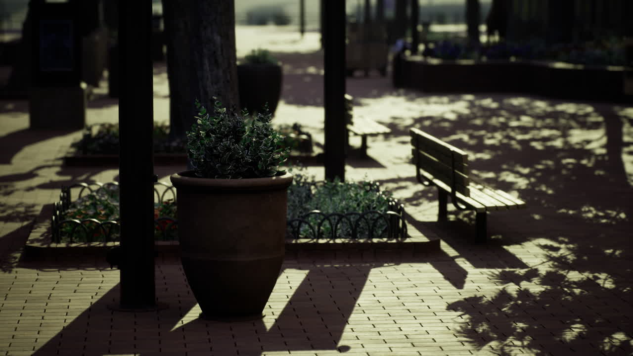 Welcoming park area with flower pots and benches under the afternoon sun