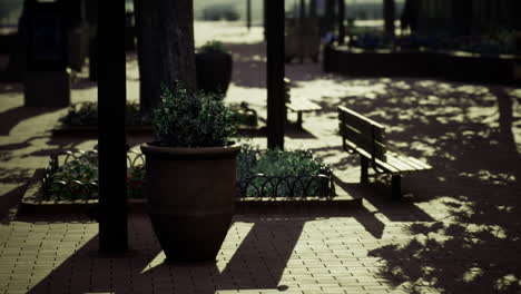 welcoming park area with flower pots and benches under the afternoon sun