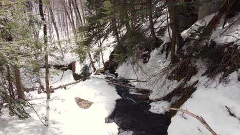 stream flows through snow-covered woodland, white winter landscape, aerial