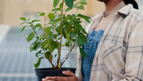 persona que tiene una planta en maceta