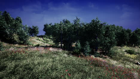 scenic hillside meadow with trees and flowers