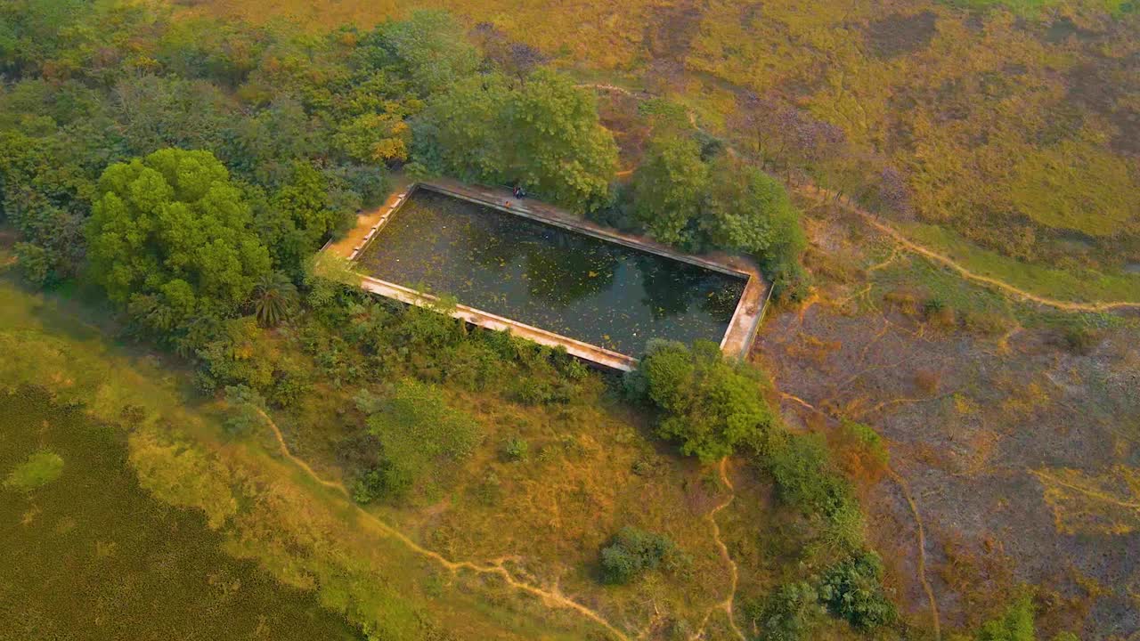 antigua piscina abandonada y rodeada de naturaleza en india
