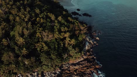 Costa-De-La-Selva-Tropical-Asiática-Con-Agua-Azul-En-Tailandia