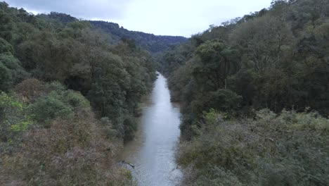 Aerial-over-River-in-the-middle-of-rainforest-jungle-tree-canopy,-nature-landscape