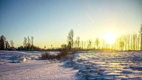 timelapse of clouds and sun moving behind the trees on a winter day