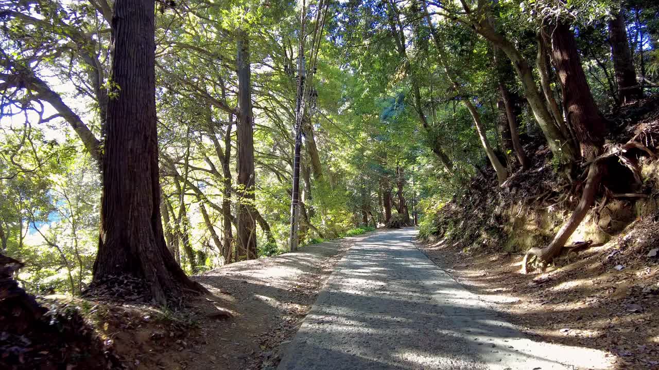 Mount Takao Day Trip: Explore Tokyo's Favorite Mountain