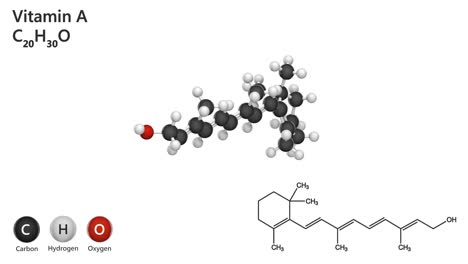 vitamin a(retinol). seamless loop.