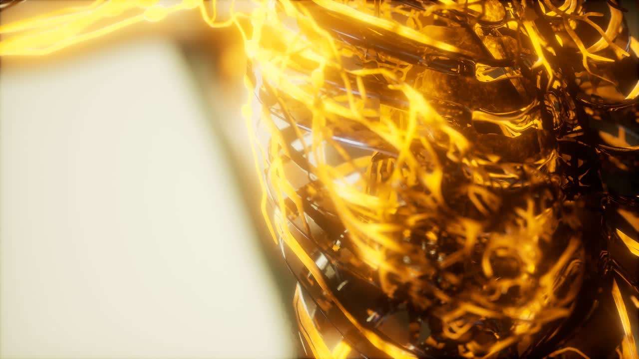 순환계의 혈관에 있는 혈액의 검사