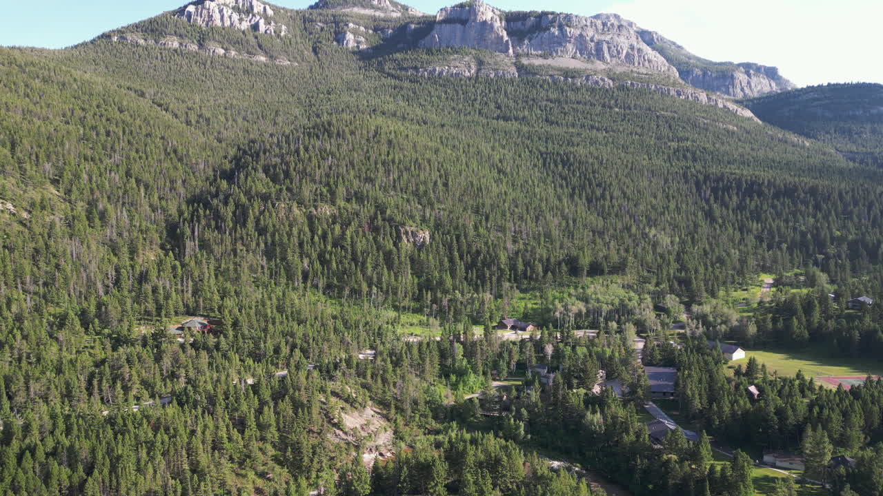 vasto bosque de hoja perenne con montañas en la distancia en un día soleado y brillante