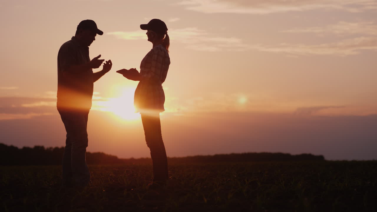 Two Farmers Work In The Field In The Evening At Sunset A Man And A Woman Discuss Something Use A Tab