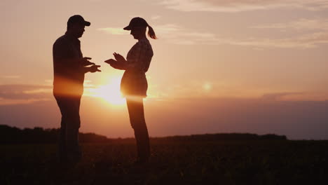 Zwei-Bauern-Arbeiten-Abends-Auf-Dem-Feld-Bei-Sonnenuntergang-Ein-Mann-Und-Eine-Frau-Diskutieren-Etwas-Mit-Einem-Tab