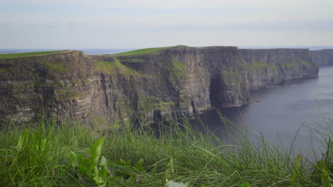 el viento sopla la vista panorámica de la hierba en los acantilados de moher con un enfoque en rack desde la hierba hasta los acantilados, irlanda